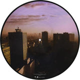 Ultra Vivid Lament (Picture Disc Vinyl) [Import] [Vinyl]