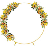 Metal Round Arch Reusable Backdrop Stand with Balloon Tools