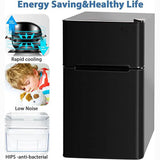 Mini Fridge with Freezer