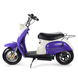 MotoTec EM 24V/12AH 350W Kids Electric Ride-On Scooter (94639816)