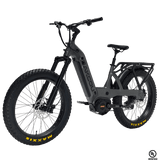 Mule SD