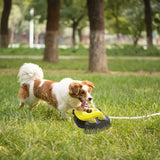 Multifunctional Automatic Pet Water Dispenser Outdoor Step-on Activated Sprinkler