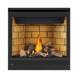 Napoleon Ascent 36 35-Inch Direct Vent Millivolt Ignition Fireplace [B36N/PTR-1] (SAK85316)