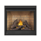 Napoleon Ascent Deep 42-Inch Direct Vent Electronic Ignition Natural Gas Fireplace [D42NTRE] (SAK42391)