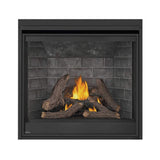Napoleon Ascent Deep 42-Inch Direct Vent Electronic Ignition Natural Gas Fireplace [D42NTRE] (SAK42391)