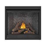 Napoleon Ascent Deep 42-Inch Direct Vent Electronic Ignition Natural Gas Fireplace [D42NTRE] (SAK42391)