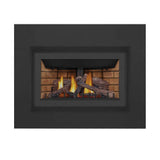 Napoleon Inspiration ZC 36-Inch Direct Vent Millivolt Ignition Natural Gas Fireplace Insert [GDIZC-NSB] (SAK58347)