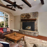 Napoleon Oakville X3/X4 Direct Vent Electronic Ignition Natural Gas Fireplace Insert [GDIX3N/4N-1] (SAK21347)