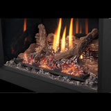 Napoleon Oakville X3/X4 Direct Vent Electronic Ignition Natural Gas Fireplace Insert [GDIX3N/4N-1] (SAK21347)