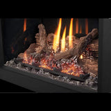 Napoleon Oakville X3/X4 Direct Vent Electronic Ignition Natural Gas Fireplace Insert [GDIX3N/4N-1] (SAK21347)