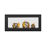 Napoleon Vector 38-Inch See-Through Direct Vent Electronic Ignition Natural Gas Fireplace With eFIRE Bluetooth App [LV38N2-1] (SAK29471)