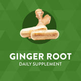 Nature's Way Ginger Root, Traditional Digestive Support*, 1110 mg Per Serving, Non-GMO Project Verified, 240 Capsules