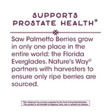 Nature's Way Saw Palmetto Standardized Extract Prostate Health, 160 mg per serving, 120 Softgels