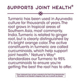 Nature's Way Turmeric Premium Extract Supports Joint Health* Non-GMO Project Verified 500mg per Serving 120 Tablets