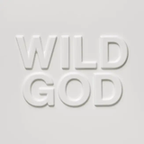 Nick Cave & the Bad Seeds - Wild God (Clear Colored Vinyl) [Vinyl]