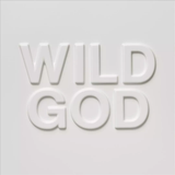 Wild God (Indie Exclusive, Clear Vinyl, Pink) [Vinyl]