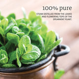 NOW Spearmint Oil, 1-Ounce