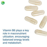 Nutra BioGenesis - Stress Factors - Vitamin B6, Lithium and GABA to Help Support Stress Response and Neurotransmitter Health - 60 Capsules