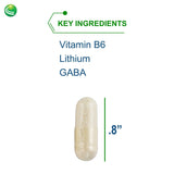 Nutra BioGenesis - Stress Factors - Vitamin B6, Lithium and GABA to Help Support Stress Response and Neurotransmitter Health - 60 Capsules
