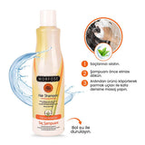 Morfose Herbal Sulfate-Free Shampoo for All Hair Types - 16.91 fl oz, Nourishes & Strengthens Hair