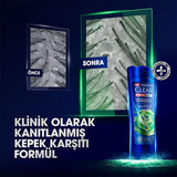 Clear Men: Advanced Anti-Dandruff Shampoo for Men - Cedarwood Eucalyptus - Itchy & Oily Scalp Relief - 48H Freshness