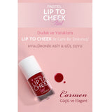 Pastel Plump Up Gloss & Lip to Cheek Tint Makeup Set