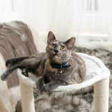 Paws & Pals 3-in-1 Cat Scratching Post with Hammock and Toy