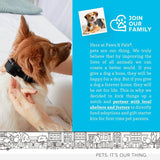 Paws & Pals Shock Collar for Dogs
