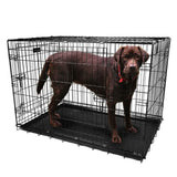 Pet Crates Folding Metal - Assorted Sizes