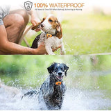 Pet Dog Shock Collar with Remote