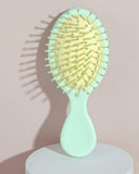 Pkg of 10 Hair Brushes: Mini Wet/Dry Travel Hair Brush Assortment