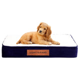 Premium Suede Velvet Orthopedic Dog Bed