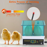 Professional Poultry Hatcher with Digital Display Automatic Temperature Humidity