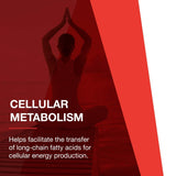 Protocol For Life Balance L-Carnitine 500 Mg 60 Vcaps - P0072