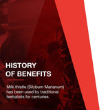 Protocol for Life Balance Milk Thistle Extract 300g 90 Vegcaps - P4739