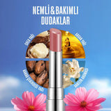 Flormar Sheer Up Moisturizing Lipstick 020 Hidden Desire