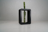 Rectangle Propagation Station