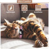 Reflective GPS Cat Collar with AirTag Holder and Bell