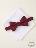 Alfani Mens Dot Pre-Tied Bow Tie and Solid Pocket Square Set, Size OS