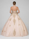 Dancing Queen Juniors Rhinestone Appliqué Gown, XL/Blush