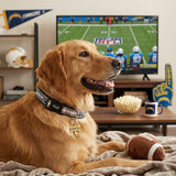 San Diego Chargers Reflective Large Football Collar