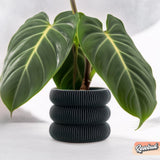 Ribbed Bubble Plant Pot With Drainage and Saucer