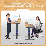 Rolanstar Single Motor Free Standing Electric Height Adjustable Desk