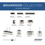 Progress Lighting Briarwood Collection Two-light Flush Mount