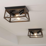 Progress Lighting Briarwood Collection Two-light Flush Mount