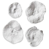 Uttermost Sea Coral Wall Art Set of 4
