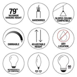 Home Decorators Collection Weyburn 4-Light Black and Polished Chrome Caged Chand