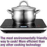 Salton Induction Cooktop with Temperature Probe
