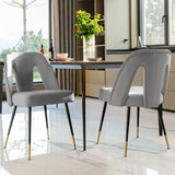 Set of 2: Modern Dining Chairs