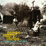 American Standard (180 Gram Black Vinyl) [Import] [Vinyl]